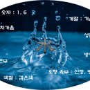 음양오행 성명학 이미지