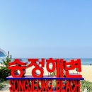 빨간소나무커피