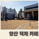 덕명로 | 양산 덕계 카페, 아이랑 반려견 동반 대형 잔디밭 클럽하우스