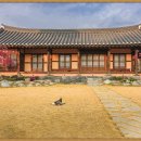 밀 마당 이미지