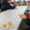 수꿀벌강정 | 임실 산타축제 실제 후기,2025년