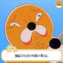 내몸밸런스