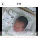 스타팰리스 | 성남 분당 더팰리스 산후조리원 스타벅스뷰 2주 이용 찐 후기 (룸 컨디션, 마사지, 프로그램, 식사 등)