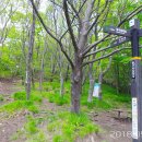 들국화목장 이미지