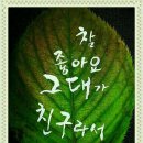 소리향