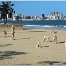 송도보건진료소 이미지