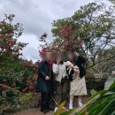 제주식당 | 제주도 강아지동반 식당 추천｜부모님과 가기 좋았던 제주 강아지동반 식당 후기