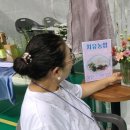 보성 다향체육관 이미지