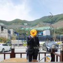 블루문게스트하우스 | [여행] 태백 블루문 게스트 하우스 후기