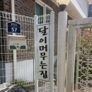 달이 머무는 집 이미지