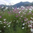 화성수지 이미지