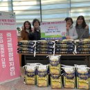 참좋은마트 이미지