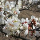 (주)나무와책 이미지