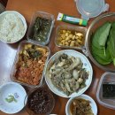 SR 친오애 주상복합 아파트 | 쉬지않고 달리는 리브 뭐했나 구경하러 와보쇼