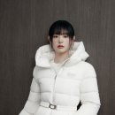 은은한