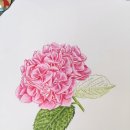 보테니컬 이미지