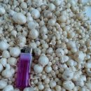 종구농장 이미지