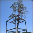 영주금광리장석우가옥 | 아! 금광리 – 경북 영주[49]