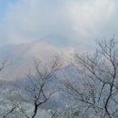 코스빈