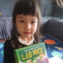 소마이스 이미지