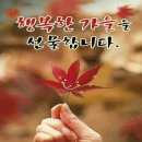 가을향기를 담은 향수 이미지