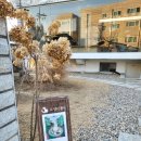 계양역 | [인천/계양] 분위기 좋은 계양역 카페 고양이똥 내돈내산 후기