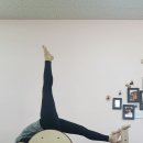 에스템짐 세류점 이미지