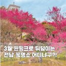 매화희망센터 (옥내1) | 순천 3월 가볼만한곳 탐매마을 매화 축제부터 순복음교회까지 전남 꽃구경 명소