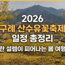 구례산수유