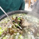 곡성 맛집 능이오리백숙으로 몸보신 제대로한 송다원