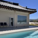 사시산색 이미지