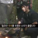 공룡고기 이미지