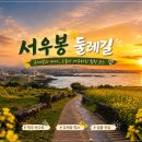 캠핑스타 | 제주 동쪽 가볼만한 곳 함덕해수욕장 서우봉 둘레길 주차 정보, 소요시간 (유채꽃, 일몰)