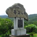 깊은산속옹달샘 이미지