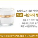 시슬리현대