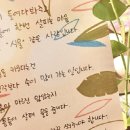 글씨여행 캘리그라피 이미지