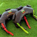 핏트레인 이미지