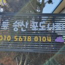 송산포도나라
