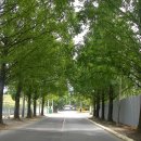 봉무공원 주차장 이미지