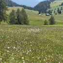 지명 카 서비스 | 이탈리아 돌로미티 1일차 - 렌트카, 베르가모 시티투어, 가르다호수, 오르티세이 가성비 숙소