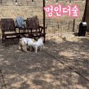 멍인더숲 목욕탕 이미지