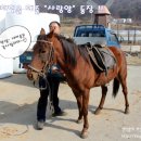 솔향기흙내음 이미지