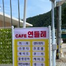 연들레