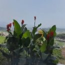 오즈스윗홈 이미지