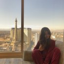 벨라지오호텔 | 라스베가스 벨라지오 호텔 스위트룸 가격 후기 및 분수쇼