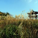 내서읍727 이미지