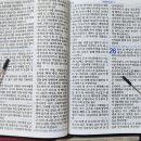 성경약국 이미지