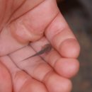 마지초등학교 이미지