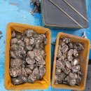 한길농장 이미지