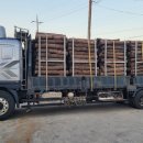 이송 태양광발전소 이미지